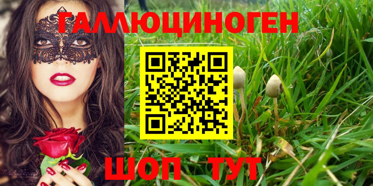 Псилоцибиновые грибы мицелий Люберцы
